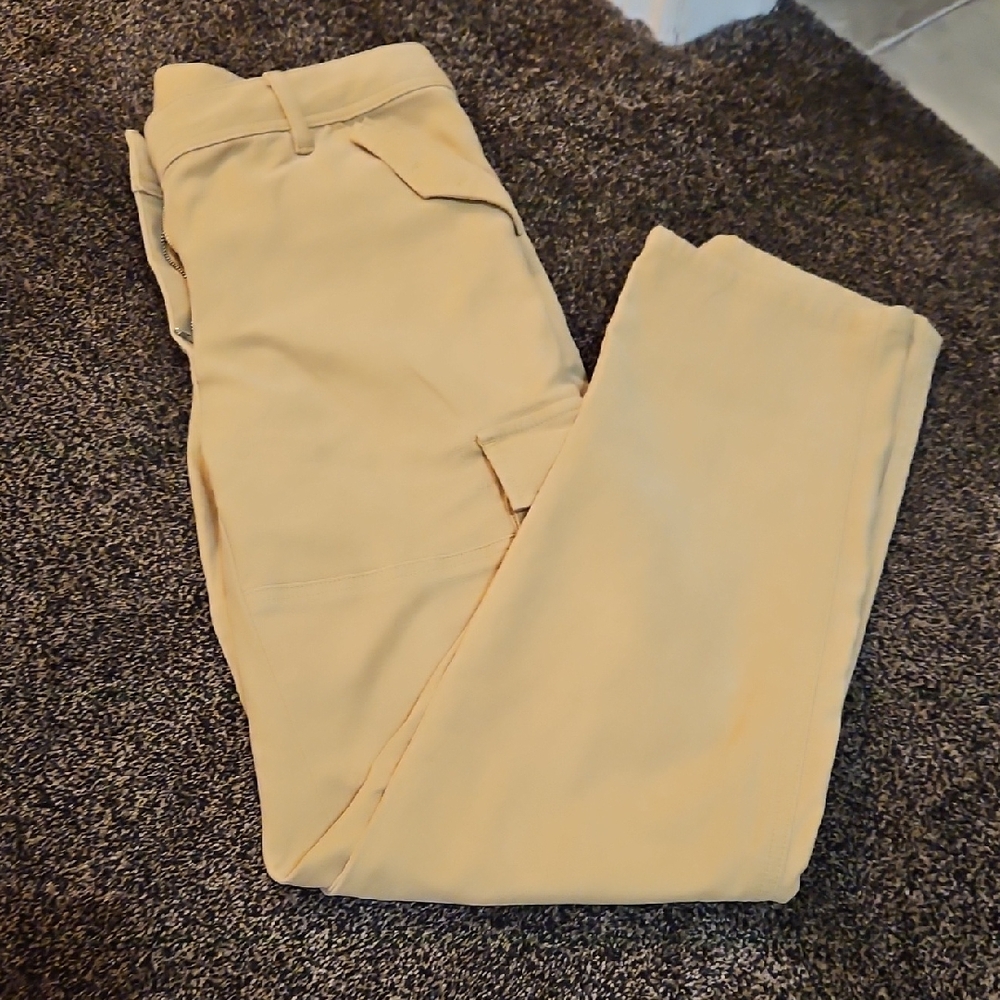 Aritzia Tan Straight Leg Pants